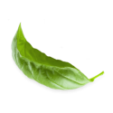 leaves_2.png